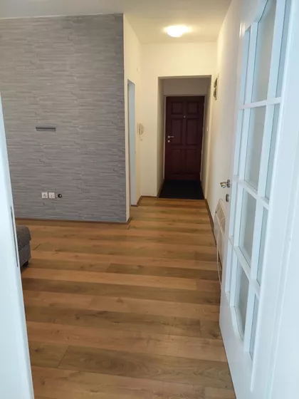 Danice Kojić 12 | 4zida.rs