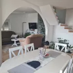 Misa, Gradske lokacije, Pančevo | 4zida.rs | 4zida.rs