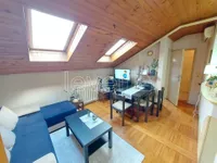 Salajka, Gradske lokacije, Novi Sad | 4zida.rs | 4zida.rs