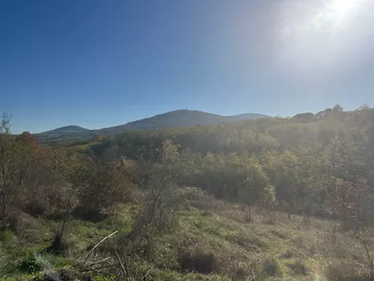 Nemenikuće | 4zida.rs