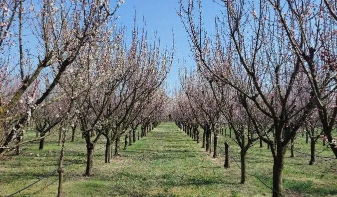 Poljoprivredno zemljište | 4zida