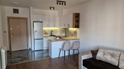 Miodraga Vlajića Šuke | 4zida.rs