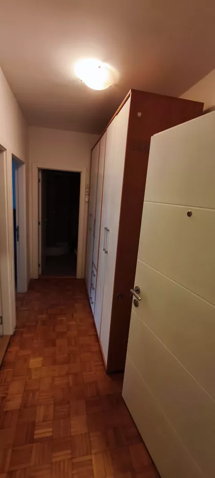 Palmira Toljatija 40 | 4zida.rs