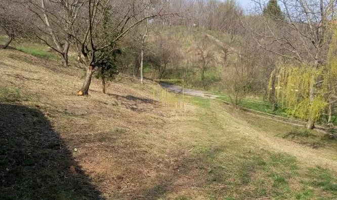 Plac | 4zida