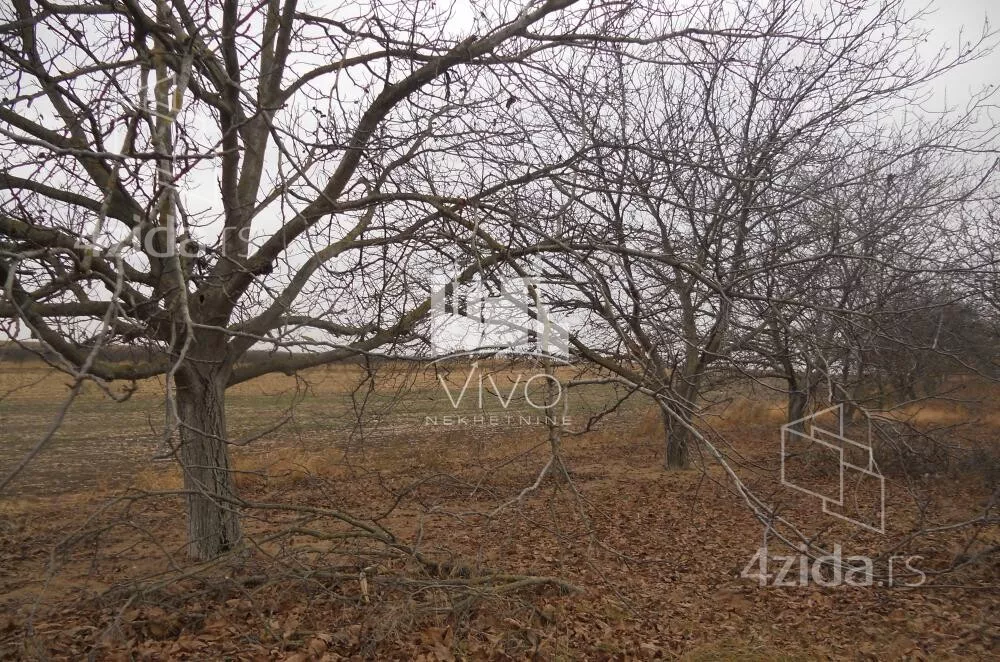 Poljoprivredno zemljište | 4zida