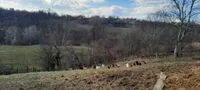 Poljoprivredno zemljište | 4zida
