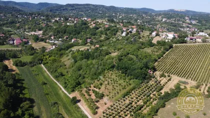 Sremska Kamenica | 4zida.rs
