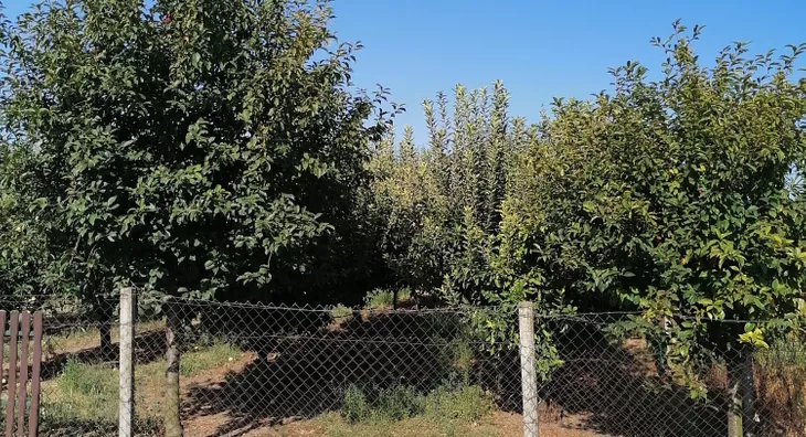 Poljoprivredno zemljište | 4zida