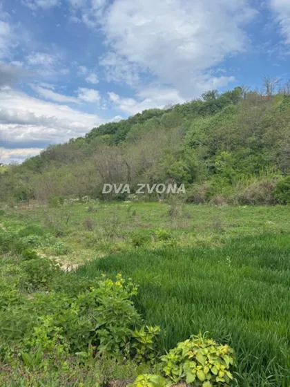 Čortanovci | 4zida.rs