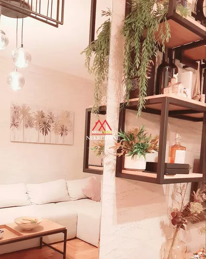 Janka Čmelika | 4zida.rs