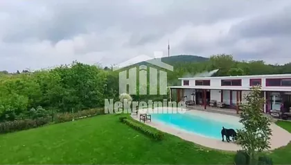 Jaroslava Černog | 4zida.rs