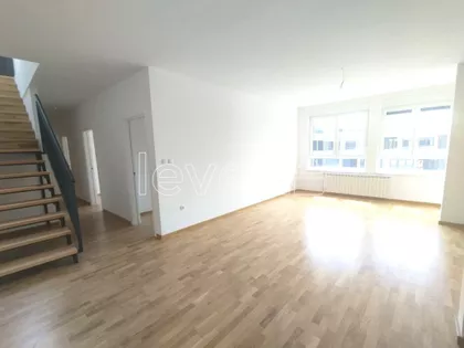 Južni Telep | 4zida.rs
