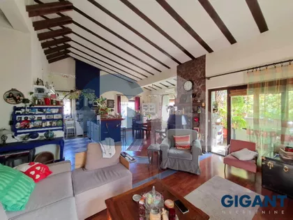 Kneginje Zorke | 4zida.rs