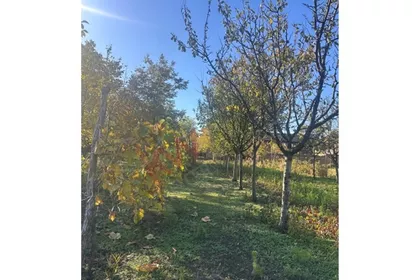 4. Oktobar | 4zida.rs