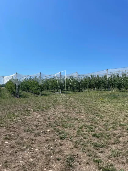 Gradske lokacije | 4zida.rs