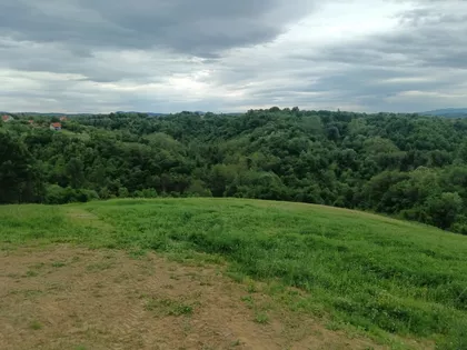 Barzilovica | 4zida.rs