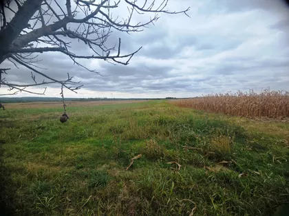 Vuka Karadžića | 4zida.rs