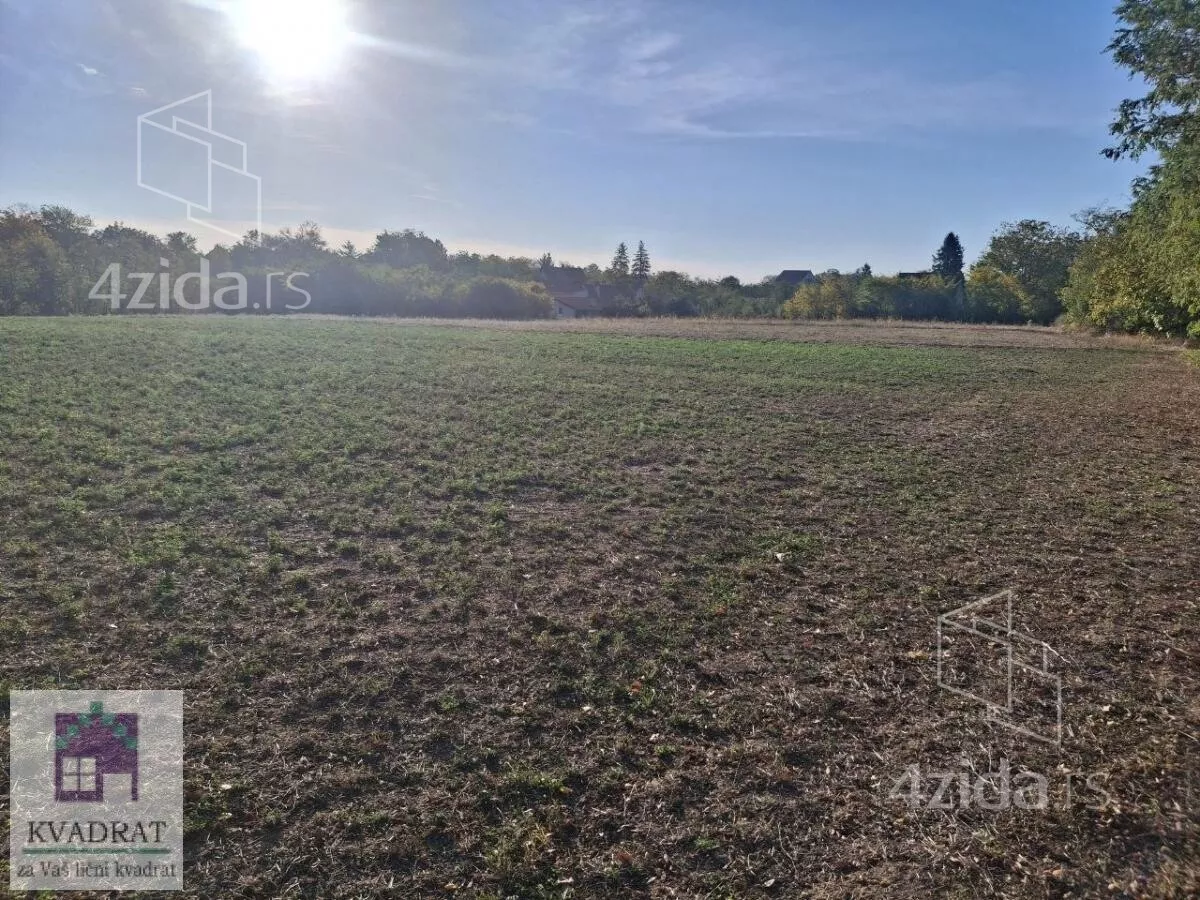 Plac | 4zida