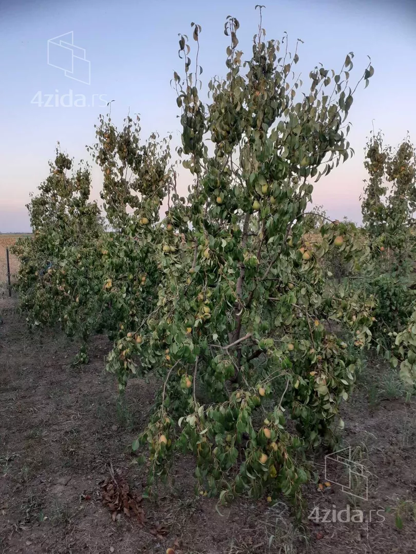 Poljoprivredno zemljište | 4zida