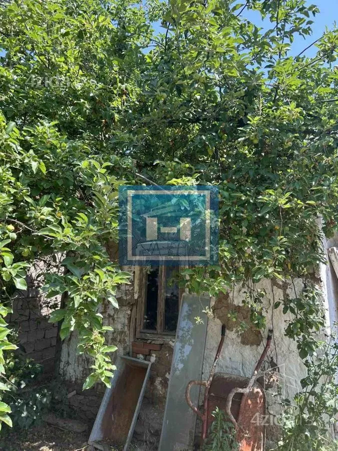 Plac | 4zida