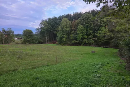 Damljanovića Put | 4zida.rs