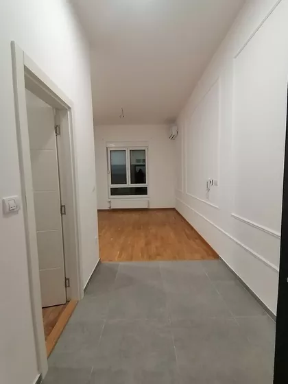 Cara Dušana | 4zida.rs