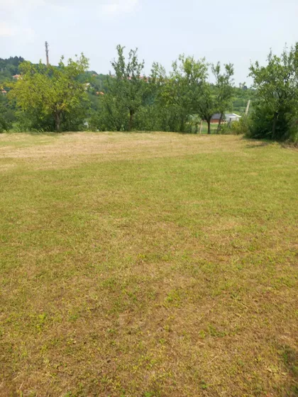 Alibegovac | 4zida.rs