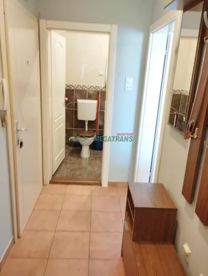 Cara Dušana | 4zida.rs