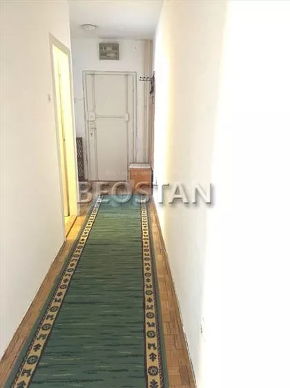 Dr Ivana Ribara | 4zida.rs