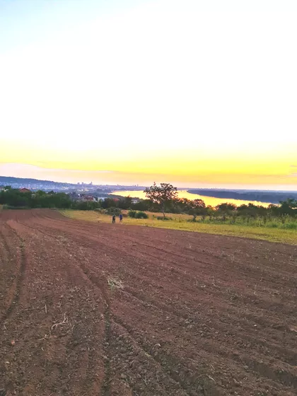 Višnjica | 4zida.rs