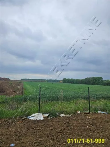 Kvantaška pijaca | 4zida.rs