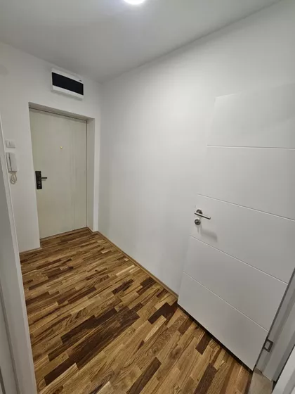 Cara Dušana | 4zida.rs