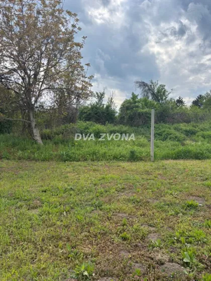 Čortanovci | 4zida.rs