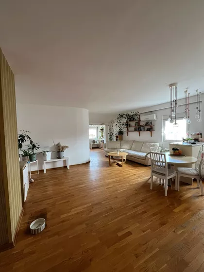 Dr Ivana Ribara | 4zida.rs