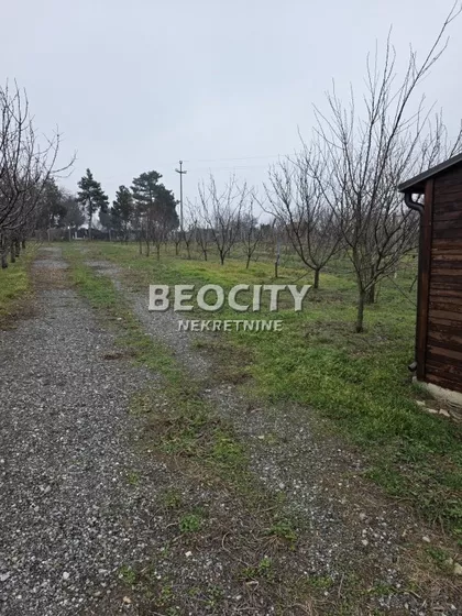 Ane Krasojević | 4zida.rs