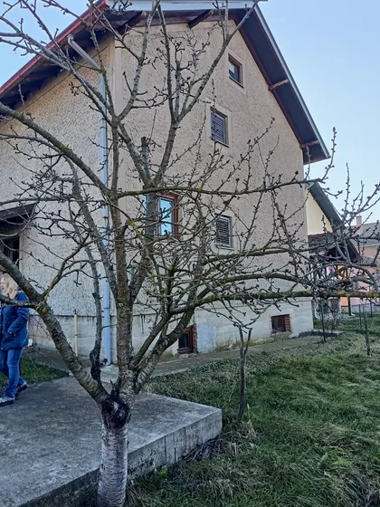 Smederevska Palanka, Šulejićeva ulica | 4zida.rs