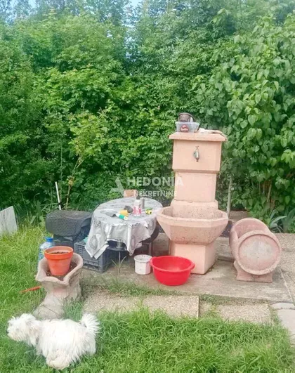 Svetomira Belića | 4zida.rs