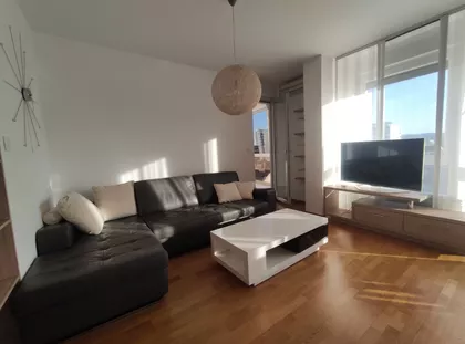 Petra Drapšina | 4zida.rs