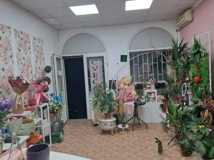 Kisačka | 4zida.rs