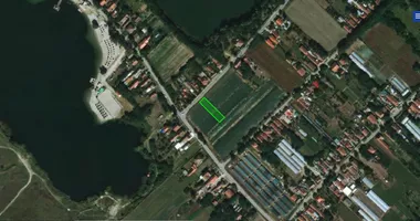 Mužljanska Kolonija