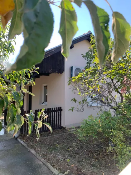 Janka Badžaka | 4zida.rs
