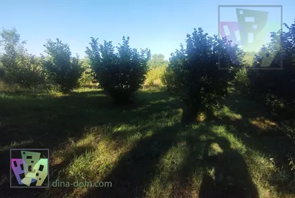 Umčari | 4zida.rs