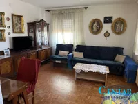 Novi Sad, Gradske lokacije, Novo Naselje | 4zida.rs | 4zida.rs