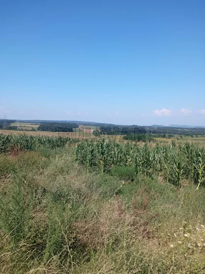 Donja Rača | 4zida.rs