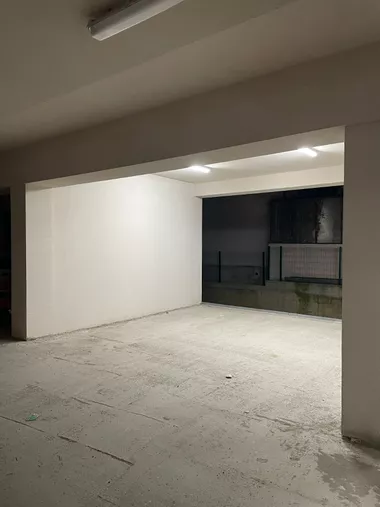 Janka Veselinovića