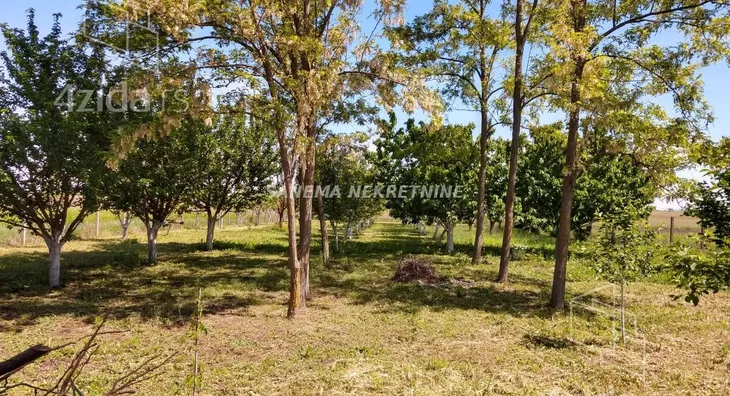 Poljoprivredno zemljište | 4zida