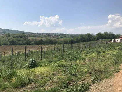 Dragobraća | 4zida.rs