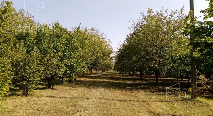 Poljoprivredno zemljište | 4zida