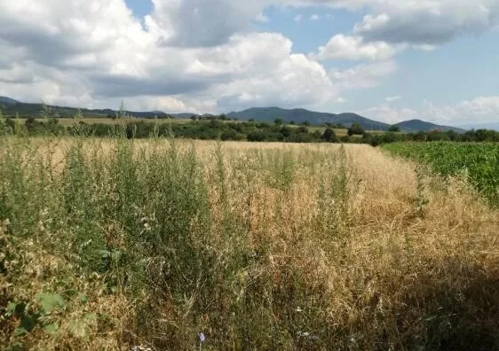 Poljoprivredno zemljište | 4zida