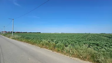 Mihajla Lazarevića